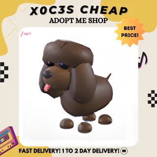 4X IRISH WATER SPANIEL