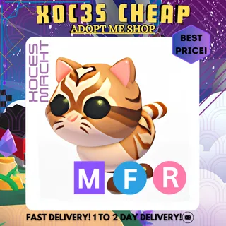 MFR Catte