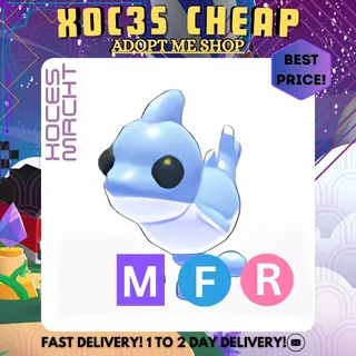 MFR Puppy Shark