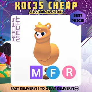 MFR Alpaca