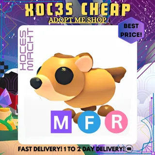 MFR Groundhog