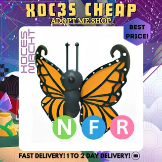 NFR Orange Butterfly