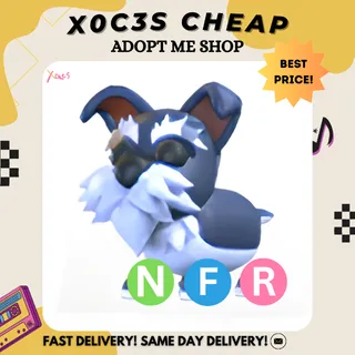 NFR MINI SCHNAUZER