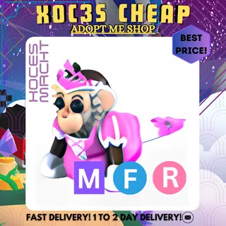 MFR Princess Capuchin Monkey