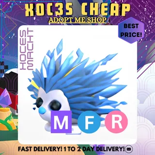 MFR Icy Porcufine