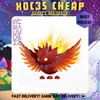 4x Solaris Dragon