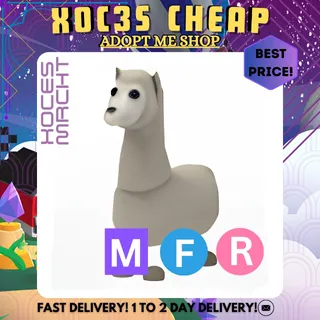 MFR Llama