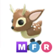 MFR Fallow Deer