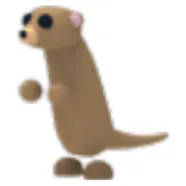 Meerkat