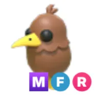 MFR Kiwi