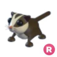 R Sugar Glider