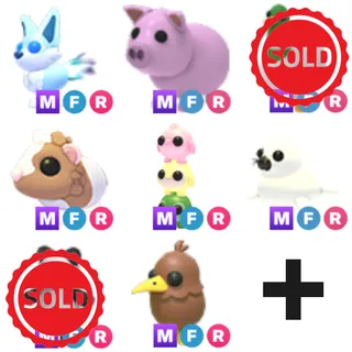 Bulk pets ($165+ value)