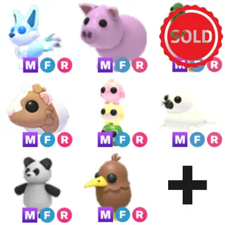 Bulk pets ($240+ value)