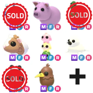 Bulk pets ($110+ value)