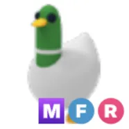MFR Silly Duck