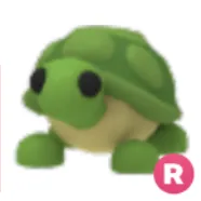 R Turtle