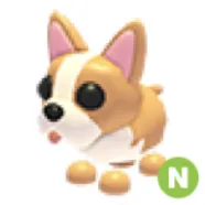 N French Bulldog