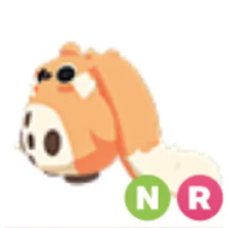 NR Cabbit