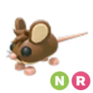 NR Field Mouse
