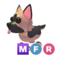 MFR German Shepherd