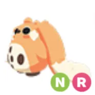NR Cabbit