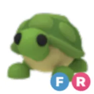 FR Turtle