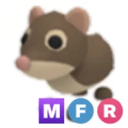 MFR Shrew / Mega Shrew