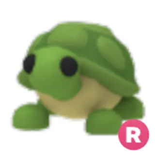 R Turtle
