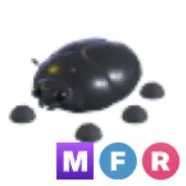 MFR Giant Black Scarab