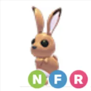 NFR Hare