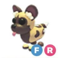 FR African Wild Dog