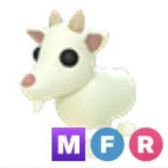 MFR Goat