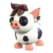 Mini Pig