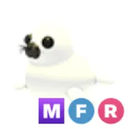 MFR Harp Seal