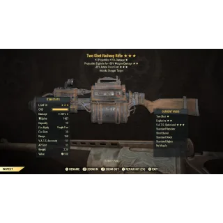 TS/E/35 Railway Rifle