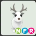 NFR arctic reindeer