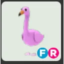 FR flamingo