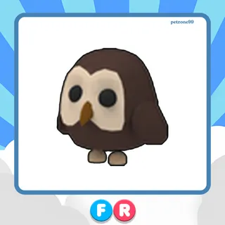 FR owl | Adopt Me!
