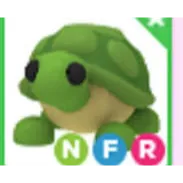NFR turtle adopt me