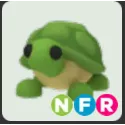 NFR turtle