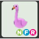 NFR flamingo