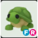 FR turtle