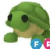 Turtle Adopt Me