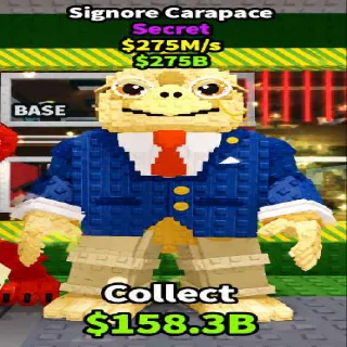 Signore Carapace  |  225M/S