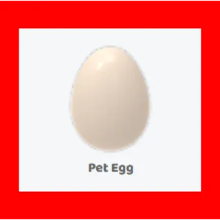 100x pet egg                        