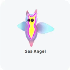 3x sea angel                        