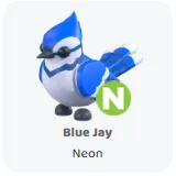 Blue jay neon                       