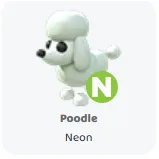 Poodle neon                         