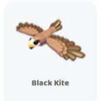 2x black kite                       