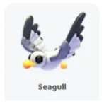 2x seagull                          